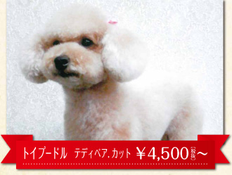 ペットサロン ハッピーペット