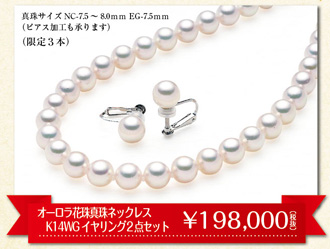 ジュエルフジミ 泉大津店