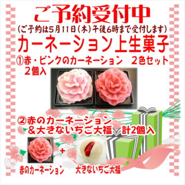 母の日　カーネーション上生菓子セット　ご予約受付中です（菓子処ふる里）