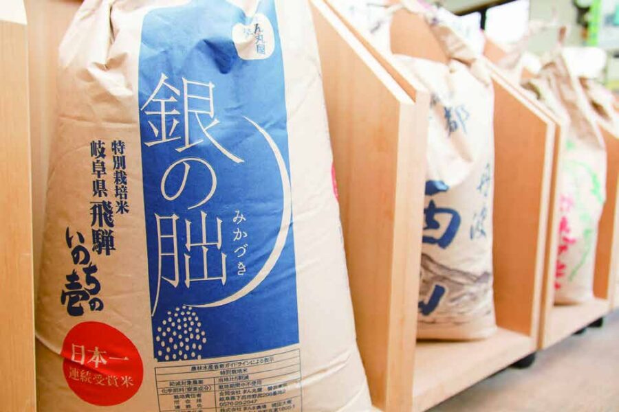 井上米穀店 飛騨産 銀の朏（みかづき）